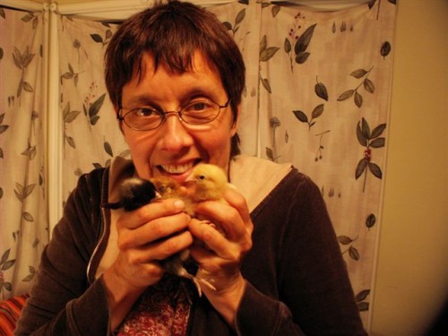 Lisa Eldredge and chicks