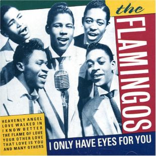 The Flamingos: "I Only Have Eyes For You"